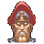 sf.M_Bison